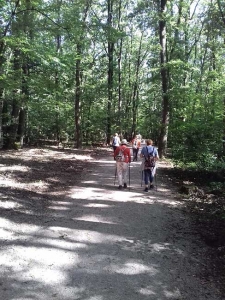 Aktivni petak u Maksimiru 2019.