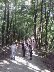 Aktivni petak u Maksimiru 2019.