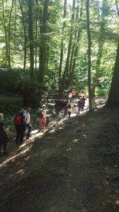 Aktivni petak u Maksimiru, 2020.