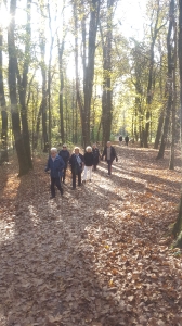 Aktivni petak u Maksimiru, 2020.