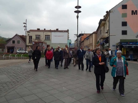 Druženje, Zenica