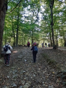 Europski tjedan sporta, 2021.