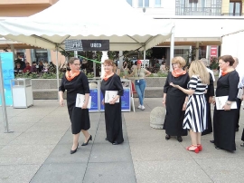 Festival jednakih mogućnosti 2022.