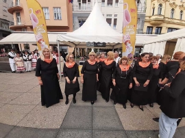 Festival jednakih mogućnosti 2024.