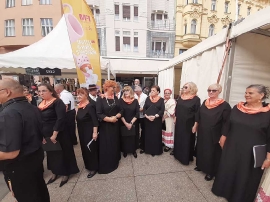 Festival jednakih mogućnosti 2024.