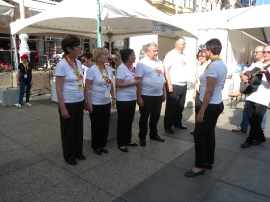 Festival jednakih mogućnosti