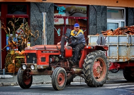 Izlet, Bučijada 2019.