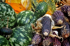 Izlet, Bučijada 2019.