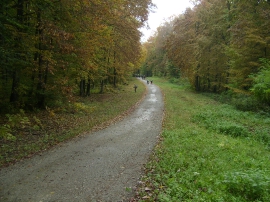 Izlet, Daruvarske toplice