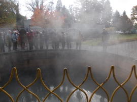 Izlet, Daruvarske toplice