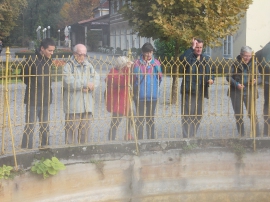 Izlet, Daruvarske toplice