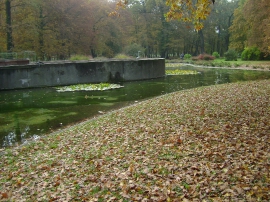 Izlet, Daruvarske toplice