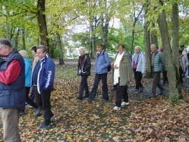 Izlet, Daruvarske toplice