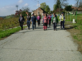 Izlet, Daruvarske toplice