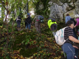 Izlet, Daruvarske toplice
