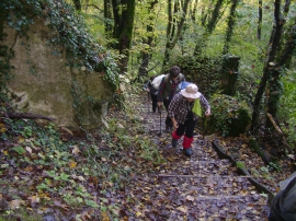 Izlet, Daruvarske toplice