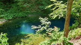 Izlet, Kamačnik, 2021.