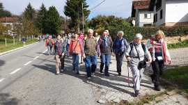 Izlet, Kestenijada 2019.