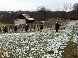 Izlet, Vincekovo 2019.