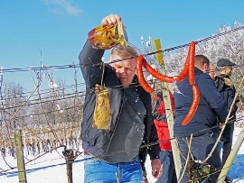 Izlet, Vincekovo 2024.