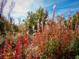 Izlet, Zavižan, 2021.