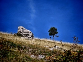 Izlet, Zavižan, 2021.