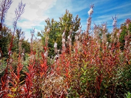 Izlet, Zavižan, 2021.