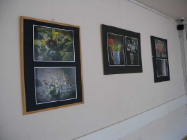 Otvorenje izložbe fotografija, Iza stakla