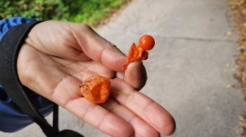 Planinari, listopad 2025._7