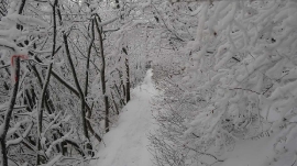 Planinari, prosinac 2018.