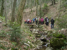 Planinarski izlet - ožujak