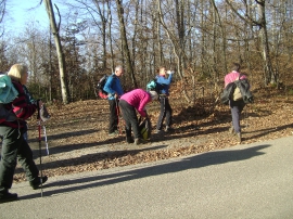 Planinarski izlet - prosinac