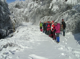 Planinarski izlet - siječanj