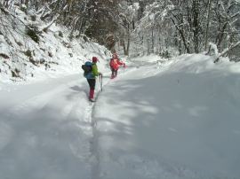 Planinarski izlet - siječanj