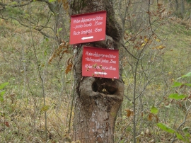 Planinarski izlet - studeni