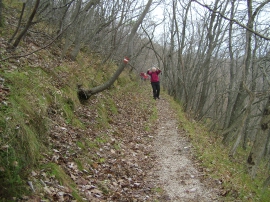 Planinarski izlet - studeni