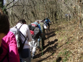 Planinarski izlet - veljača