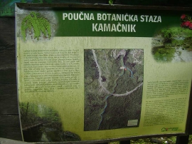 Planinarski izlet, lipanj