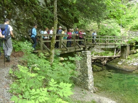 Planinarski izlet, lipanj
