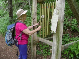 Planinarski izlet, lipanj