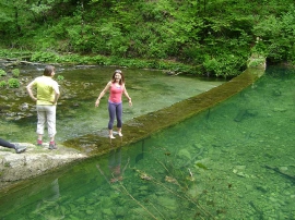 Planinarski izlet, lipanj