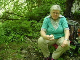 Planinarski izlet, lipanj