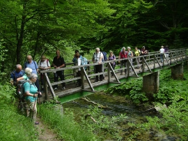 Planinarski izlet, lipanj