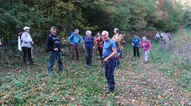 Planinarski izlet, listopad