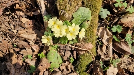 Planinarski izlet, ožujak 2022. 