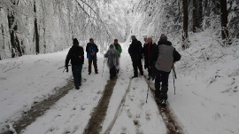Planinarski izlet, prosinac