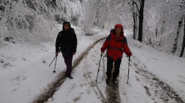 Planinarski izlet, prosinac