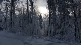 Planinarski izlet, prosinac