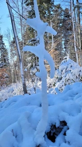 Planinarski izlet, prosinac 2021. 