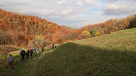 Planinarski izlet, studeni